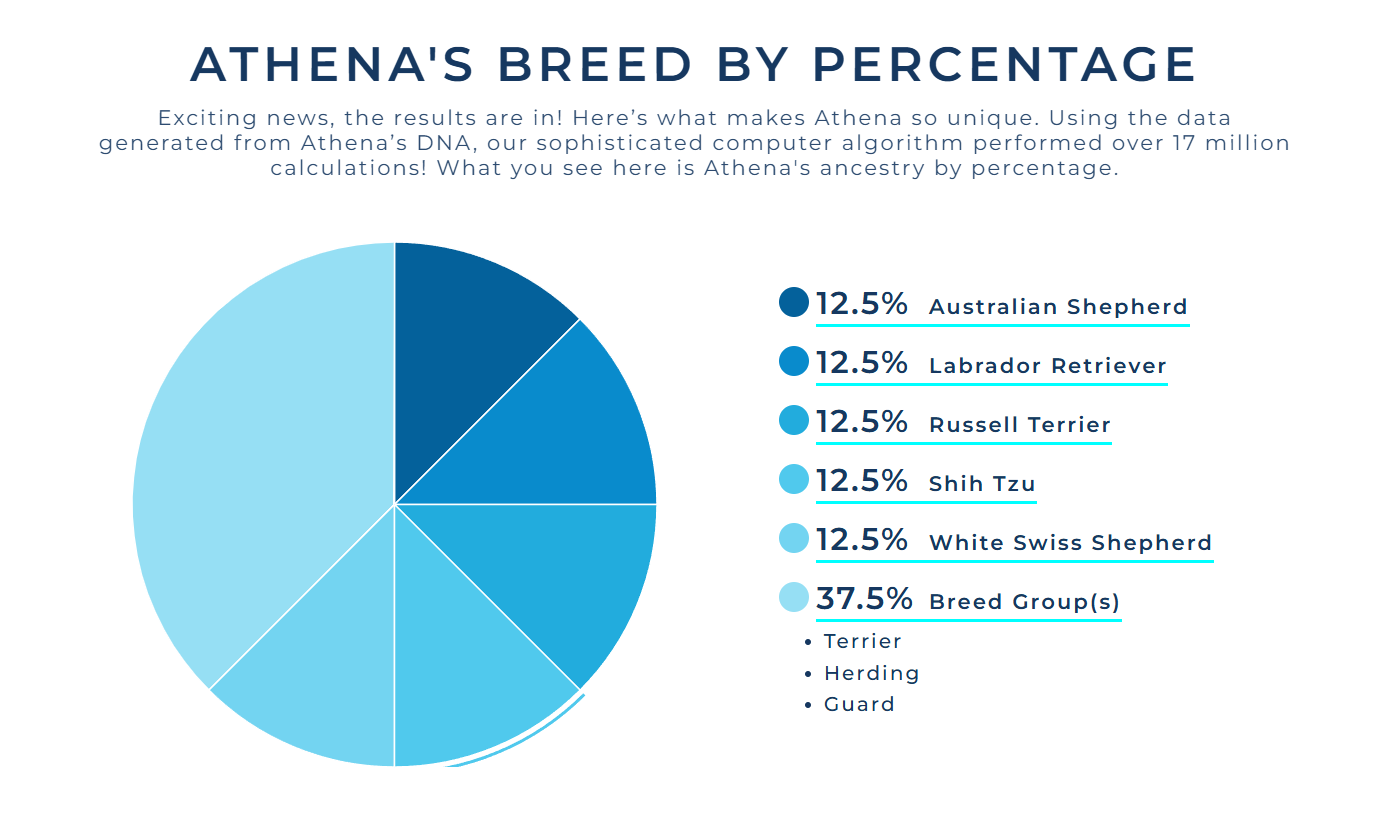 Athena AthenaAncestry